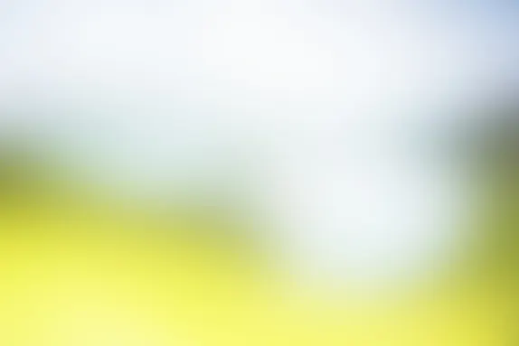 PocketWin Kaszinó Támogatás